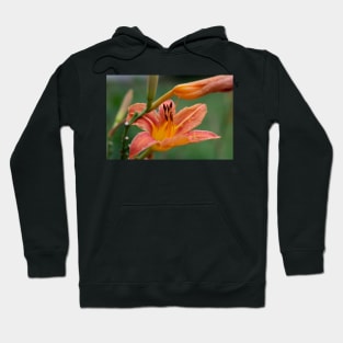 Flowers and blossoms in the garden Hoodie